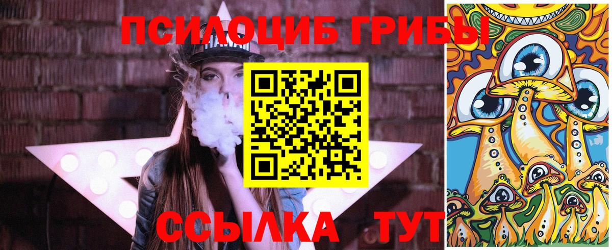 Чернушка  Галлюциногенные грибы MAGIC MUSHROOMS  Вход с VPN 